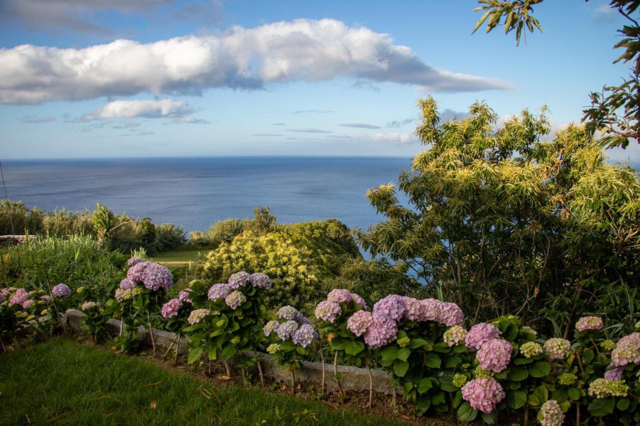 Oasis Fonte Grande Apartment Santo Antonio (Sao Miguel)